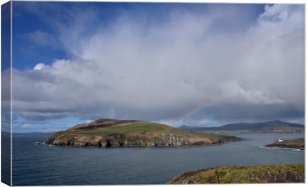 Beautiful day in Dingle Canvas Print by barbara walsh