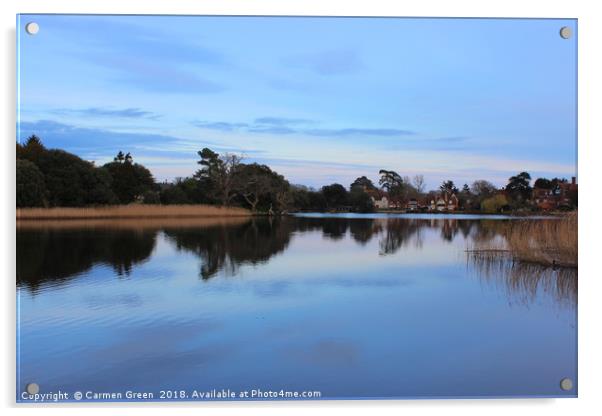 Beaulieu river before sunset, New Forest National  Acrylic by Carmen Green