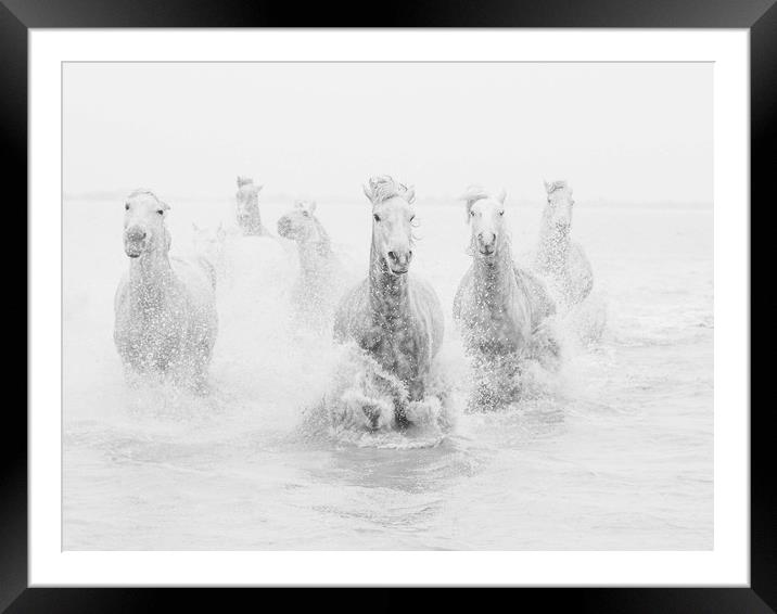 White Horses of the Carmargue mono Framed Mounted Print by Ruth Baldwin