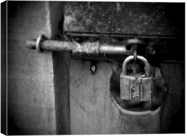Gate with rusty lock and bolt Canvas Print by Donnie Canning