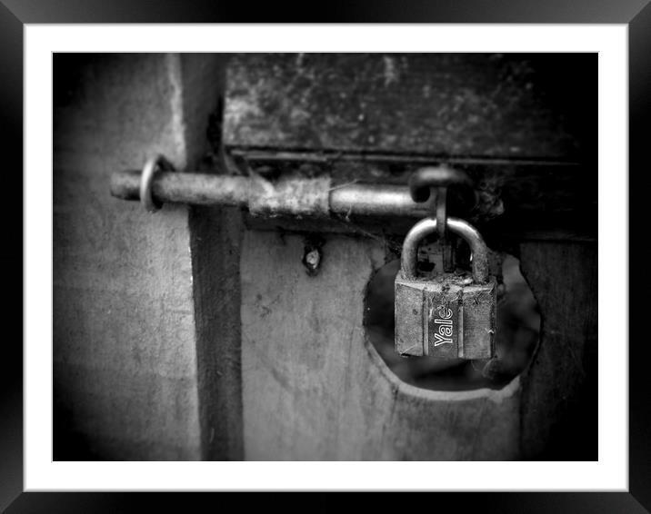 Gate with rusty lock and bolt Framed Mounted Print by Donnie Canning