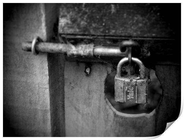 Gate with rusty lock and bolt Print by Donnie Canning