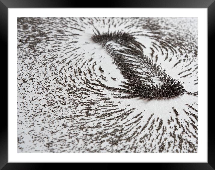 Magnetic Iron Filings  Framed Mounted Print by Donnie Canning
