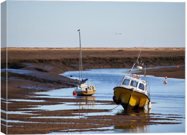 Wells next the Sea Canvas Print by Donnie Canning