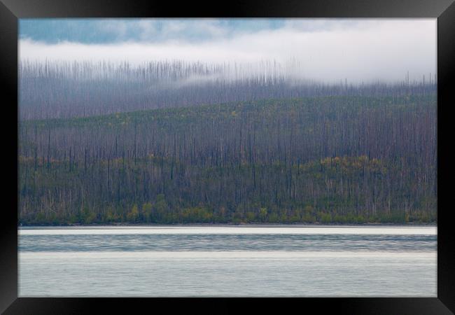 Lake McDonald Layers, Glacier National Park, Monta Framed Print by David Roossien