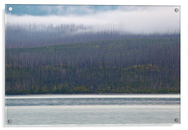Lake McDonald Layers, Glacier National Park, Monta Acrylic by David Roossien