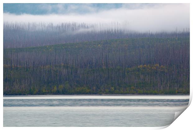 Lake McDonald Layers, Glacier National Park, Monta Print by David Roossien