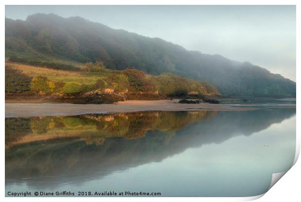 Reflection in the Gannel Crantock Print by Diane Griffiths