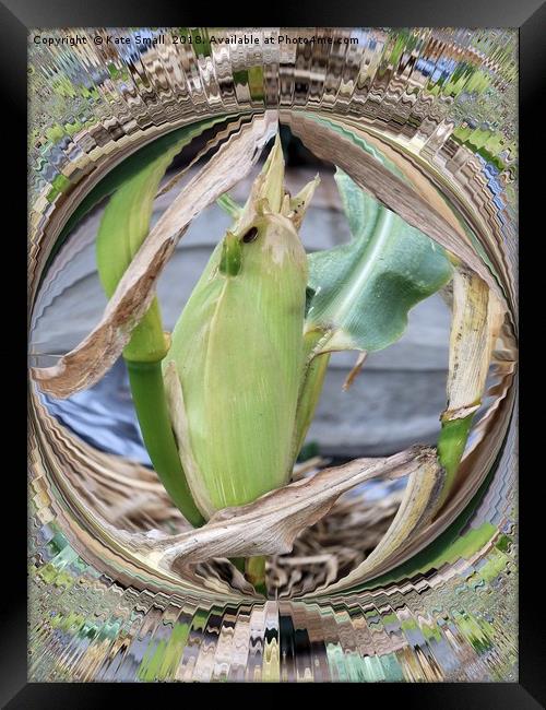 Withering Crop Framed Print by Kate Small