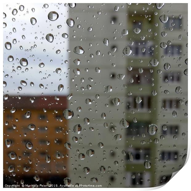 Drops of rain Print by Marinela Feier