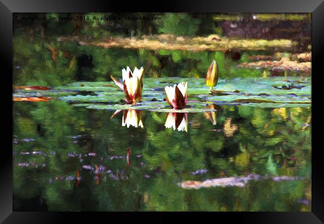 Artistic Waterlilies in the style of Monet Framed Print by Jim Jones