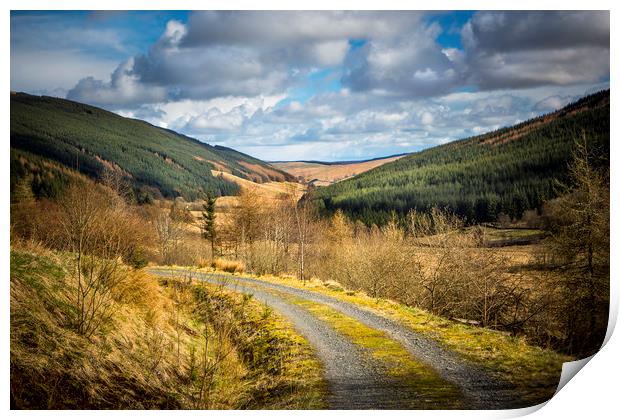 Rural roadway. Print by David Hare