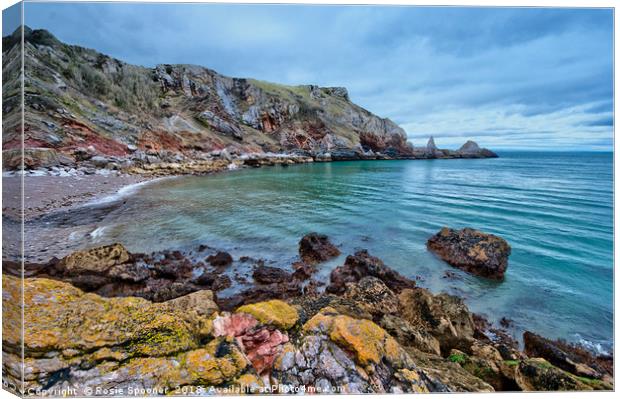 Redgate Beach and Long Quarry Point from Ansteys Canvas Print by Rosie Spooner