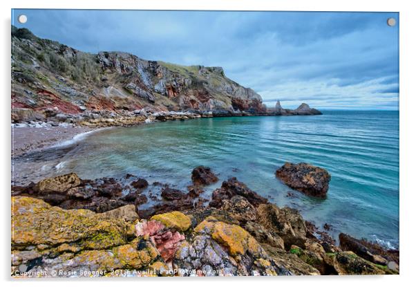 Redgate Beach and Long Quarry Point from Ansteys Acrylic by Rosie Spooner