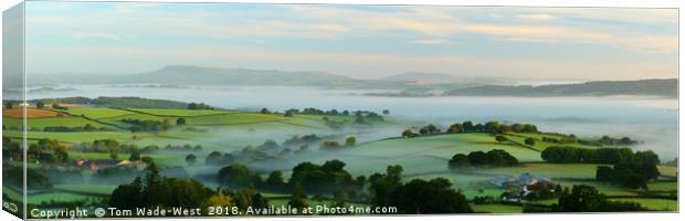 Misty Monmouthshire Morning Canvas Print by Tom Wade-West