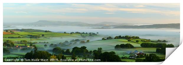 Misty Monmouthshire Morning Print by Tom Wade-West