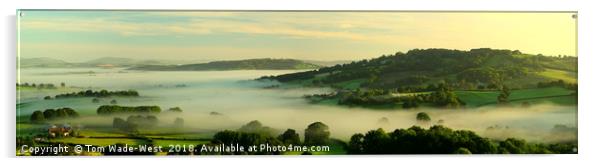 Misty Monmouthshire Morning Acrylic by Tom Wade-West