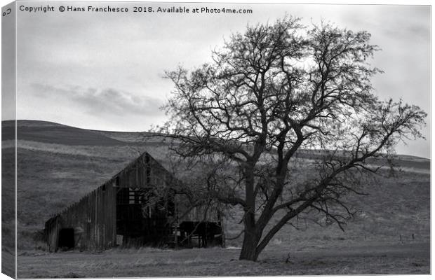 The barn and the tree Canvas Print by Hans Franchesco