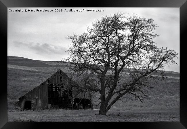 The barn and the tree Framed Print by Hans Franchesco