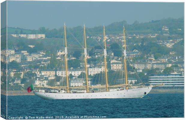 Santa Maria Manuela anchored in Torbay Canvas Print by Tom Wade-West