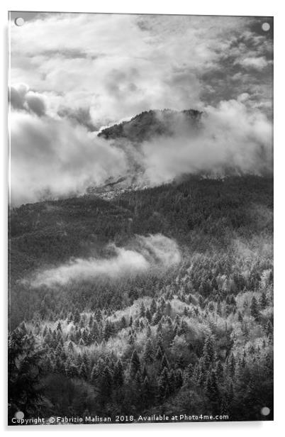 Atmospheric Mountain Woods Acrylic by Fabrizio Malisan