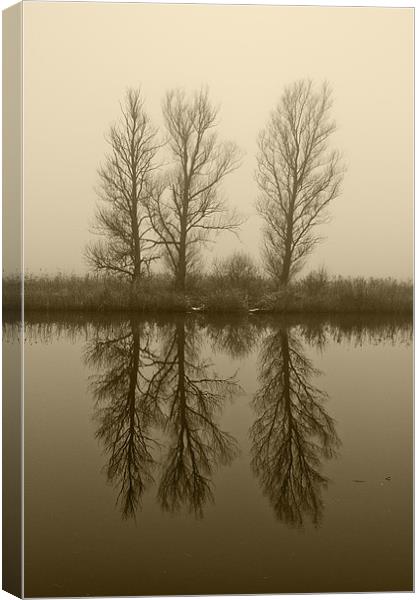 Misty Trees on the Norfolk Broads Canvas Print by Paul Macro
