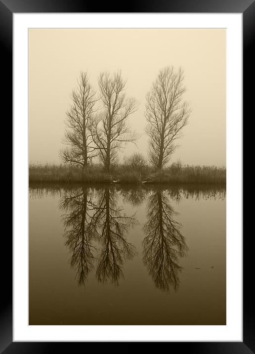 Misty Trees on the Norfolk Broads Framed Mounted Print by Paul Macro