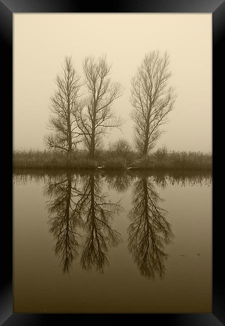 Misty Trees on the Norfolk Broads Framed Print by Paul Macro