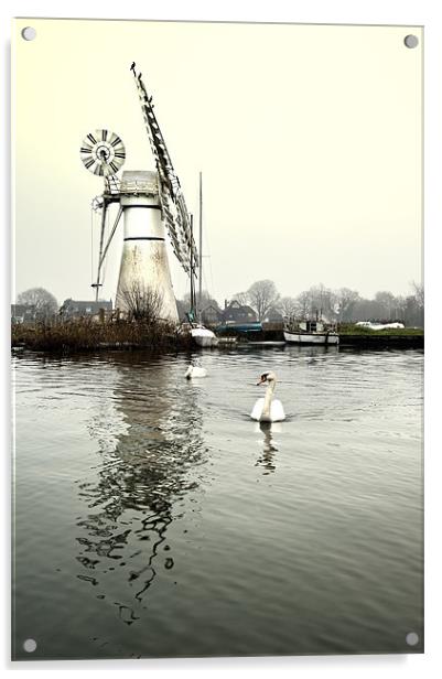 Thurne Mill Acrylic by Stephen Mole