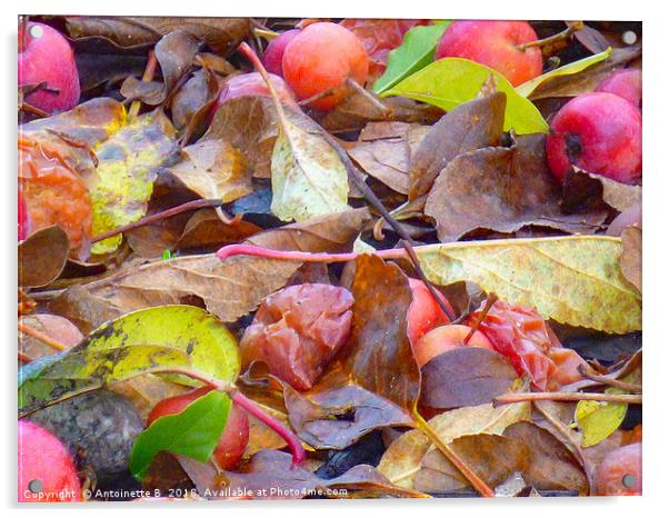 Autumn  Acrylic by Antoinette B