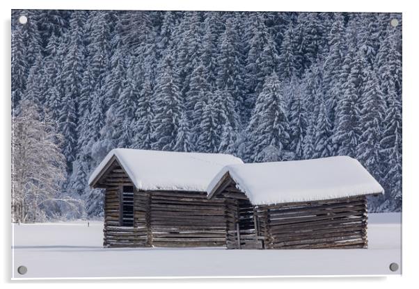 Austrian winter Acrylic by Thomas Schaeffer