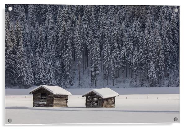 Austrian winter Acrylic by Thomas Schaeffer