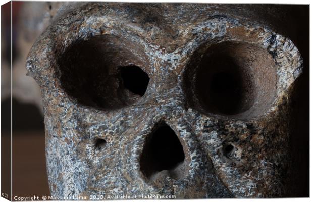 Monkey skull isolated  Canvas Print by Massimo Lama