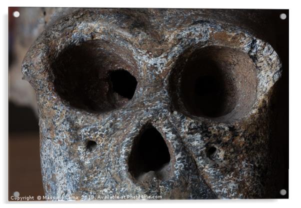 Monkey skull isolated  Acrylic by Massimo Lama