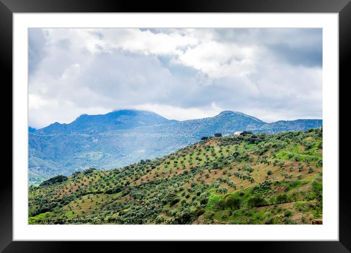 Andalusian landscape with Olive groves on mountain Framed Mounted Print by KB Photo