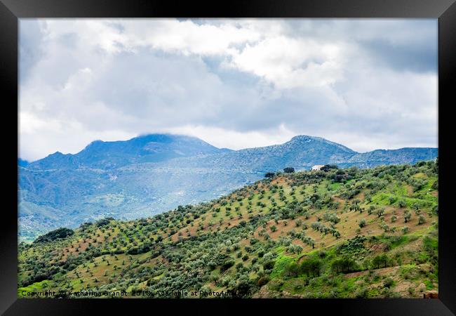 Andalusian landscape with Olive groves on mountain Framed Print by KB Photo