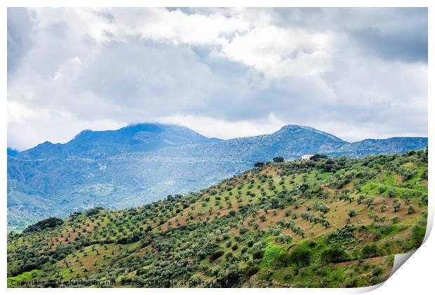Andalusian landscape with Olive groves on mountain Print by KB Photo