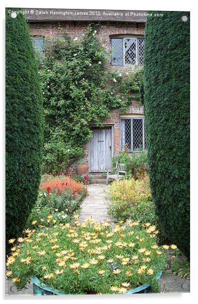 Cottage garden Acrylic by Sarah Harrington-James