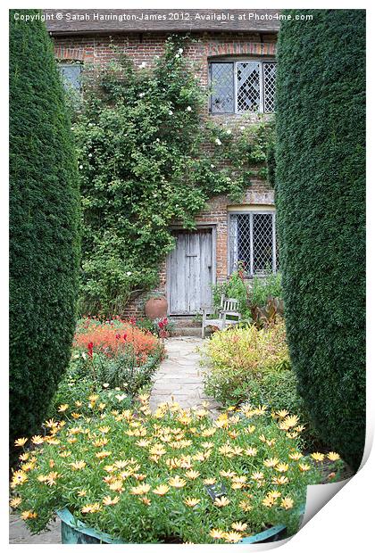 Cottage garden Print by Sarah Harrington-James