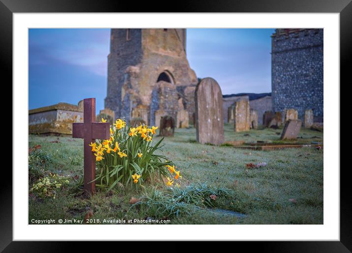 Spring Daffodils at St Mary's Barningham Norfolk  Framed Mounted Print by Jim Key