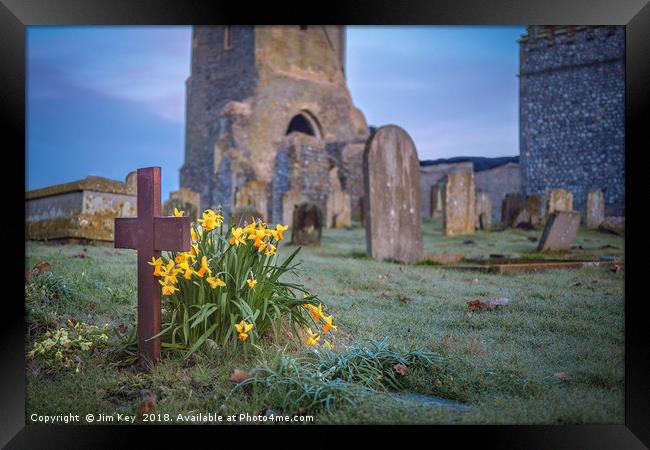 Spring Daffodils at St Mary's Barningham Norfolk  Framed Print by Jim Key