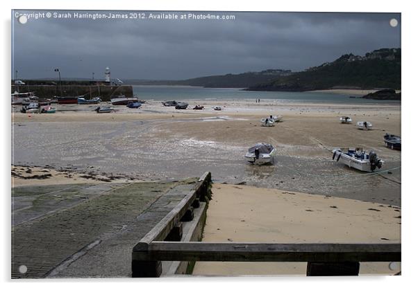 St Ives, Cornwall Acrylic by Sarah Harrington-James