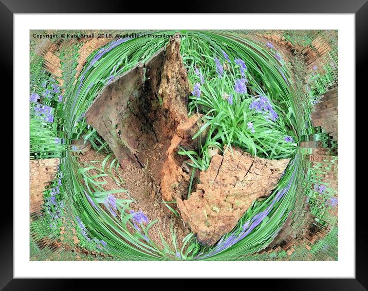 Among the dead wood Framed Mounted Print by Kate Small