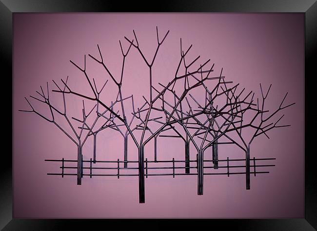 Tree Sculpture Framed Print by Darren Burroughs