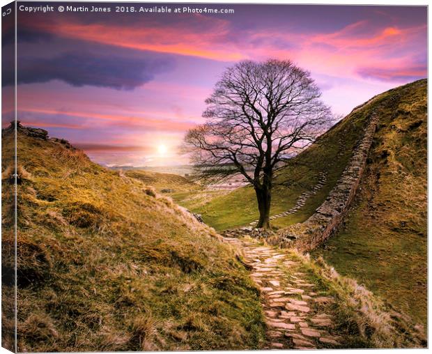 Sycamore Gap Canvas Print by K7 Photography