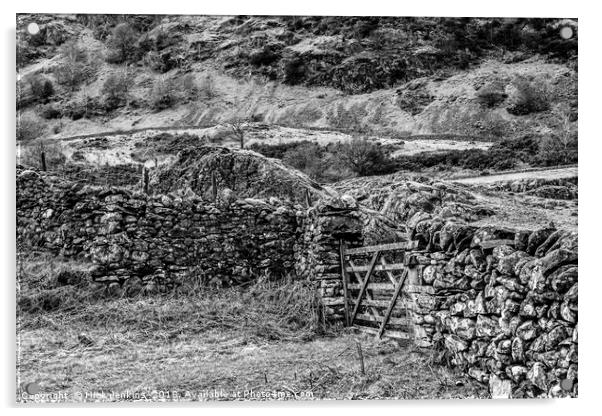 Drystone Walling Tilberthwaite Gill Lake District Acrylic by Nick Jenkins