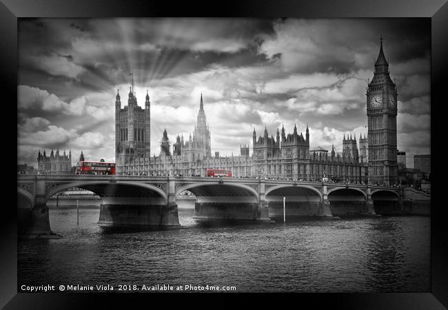 LONDON Westminster Bridge and red buses Framed Print by Melanie Viola