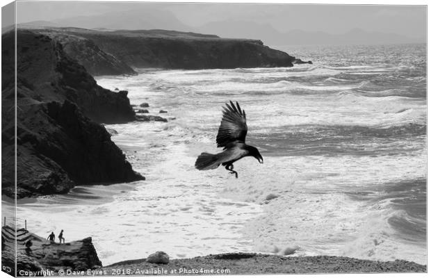Crow by the Sea Canvas Print by Dave Eyres