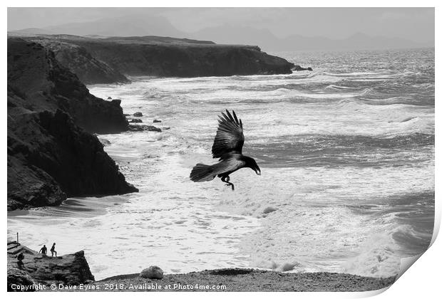 Crow by the Sea Print by Dave Eyres