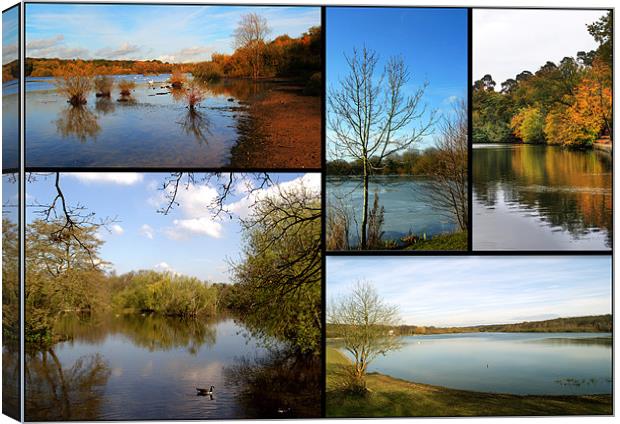 Country Parks Collage Canvas Print by Chris Day
